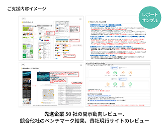 サステナビリティサイトにおける独自調査レポートのサンプル図。先進企業50社の開示動向、競合他社のベンチマーク、貴社現行サイトのレビュー結果を示し、最適な情報開示戦略策定に貢献することを示している。